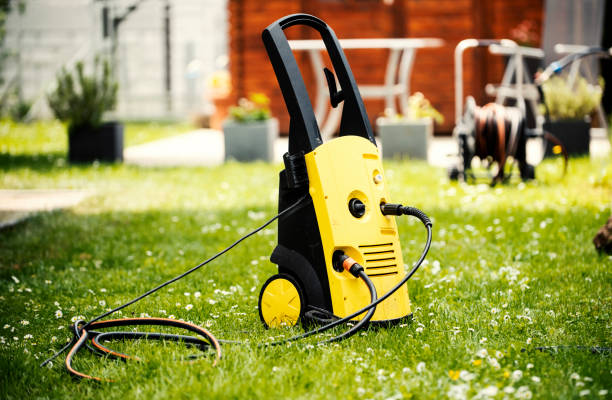 Best Pre-Holiday Cleaning  in Murray, KY